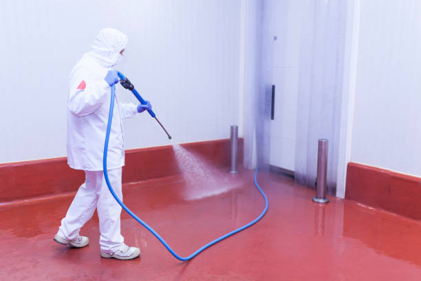 Solar Panel Cleaning in Corona De Tucson, AZ